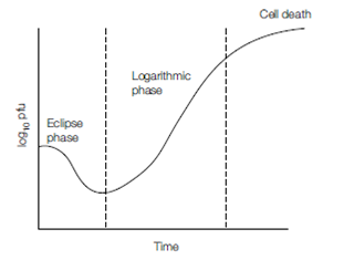 1881_Replication cycle.png